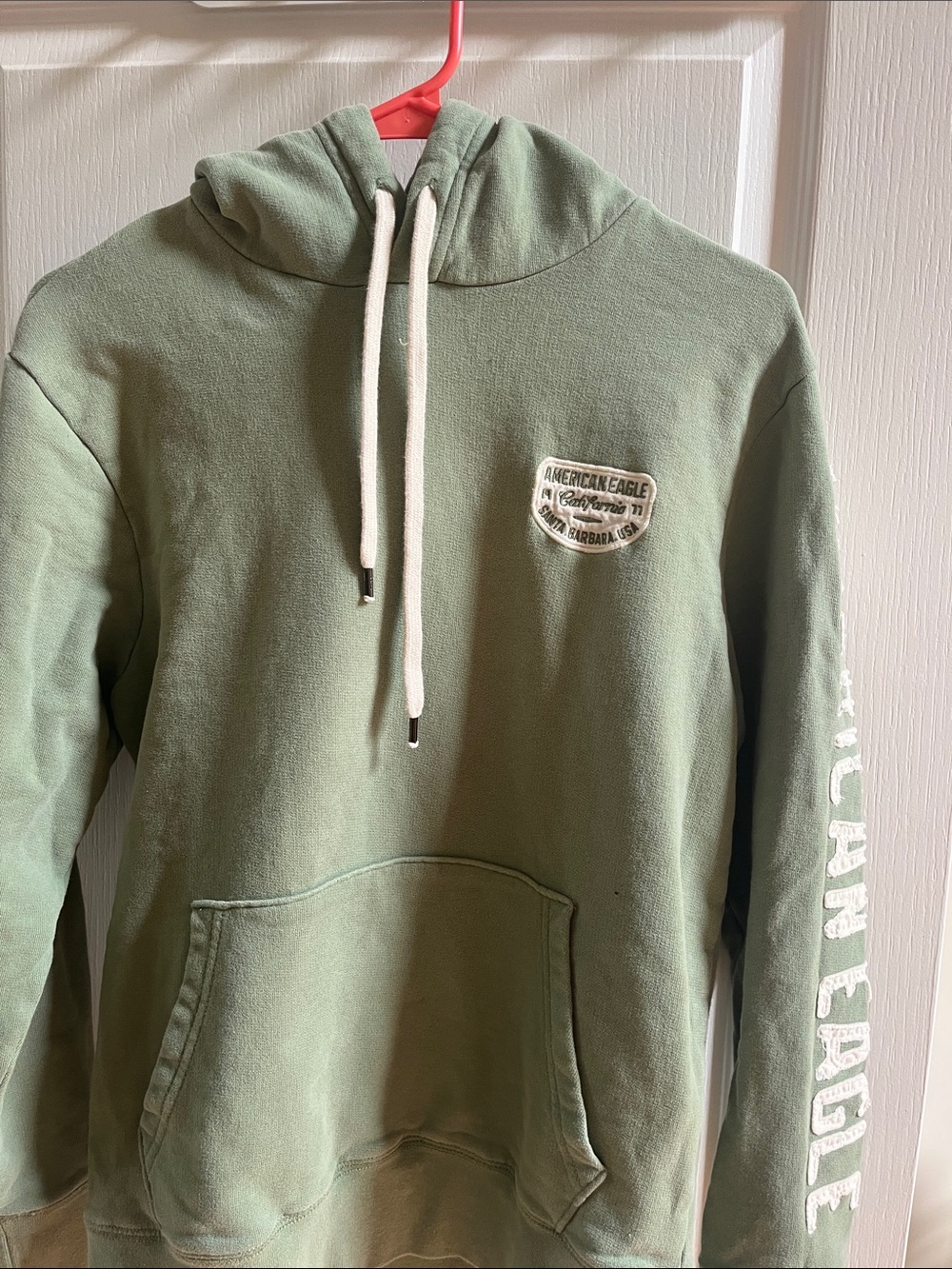 American Eagle Outfitters Men’s Sage Green Hoodie